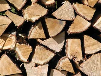 firewood